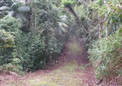 136  –  Terreno na Prata  –  Teresópolis  –  R.J:.
