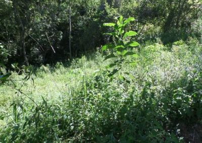158  –  Terreno na Colônia Alpina  –  Teresópolis  –  R.J:.